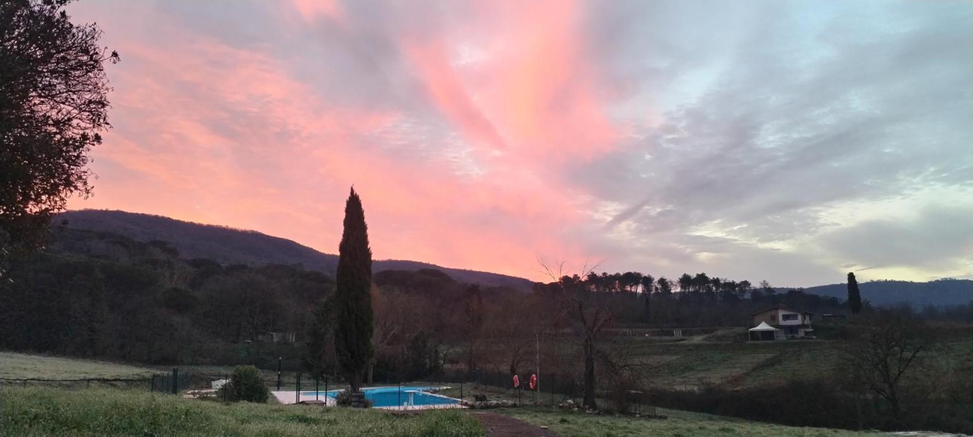 I Salici Agriturismo Badia Agnano Экстерьер фото